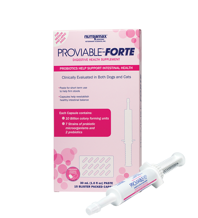 Proviable Kit Medium and Large Dogs 30ml Kit