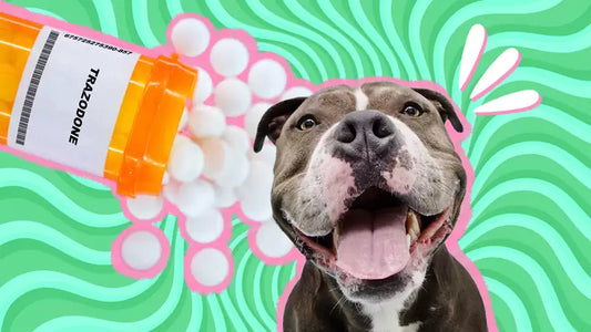 Trazodone Tabs (pet tab)