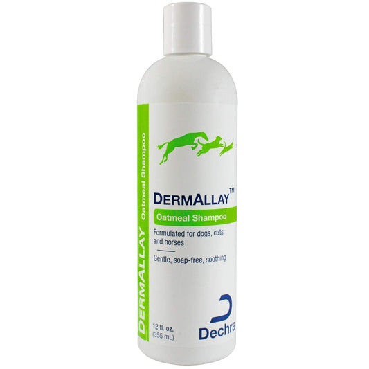 DermAllay Shampoo