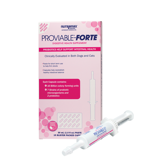 Proviable forte best sale for dogs